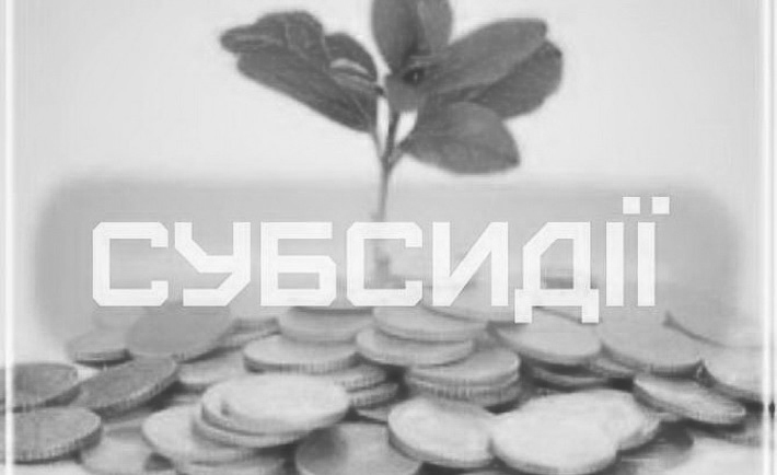 субсидия